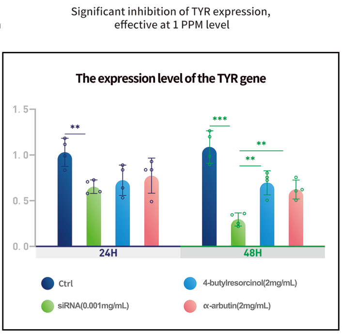 スキンケアにおけるsiRNAの有効成分