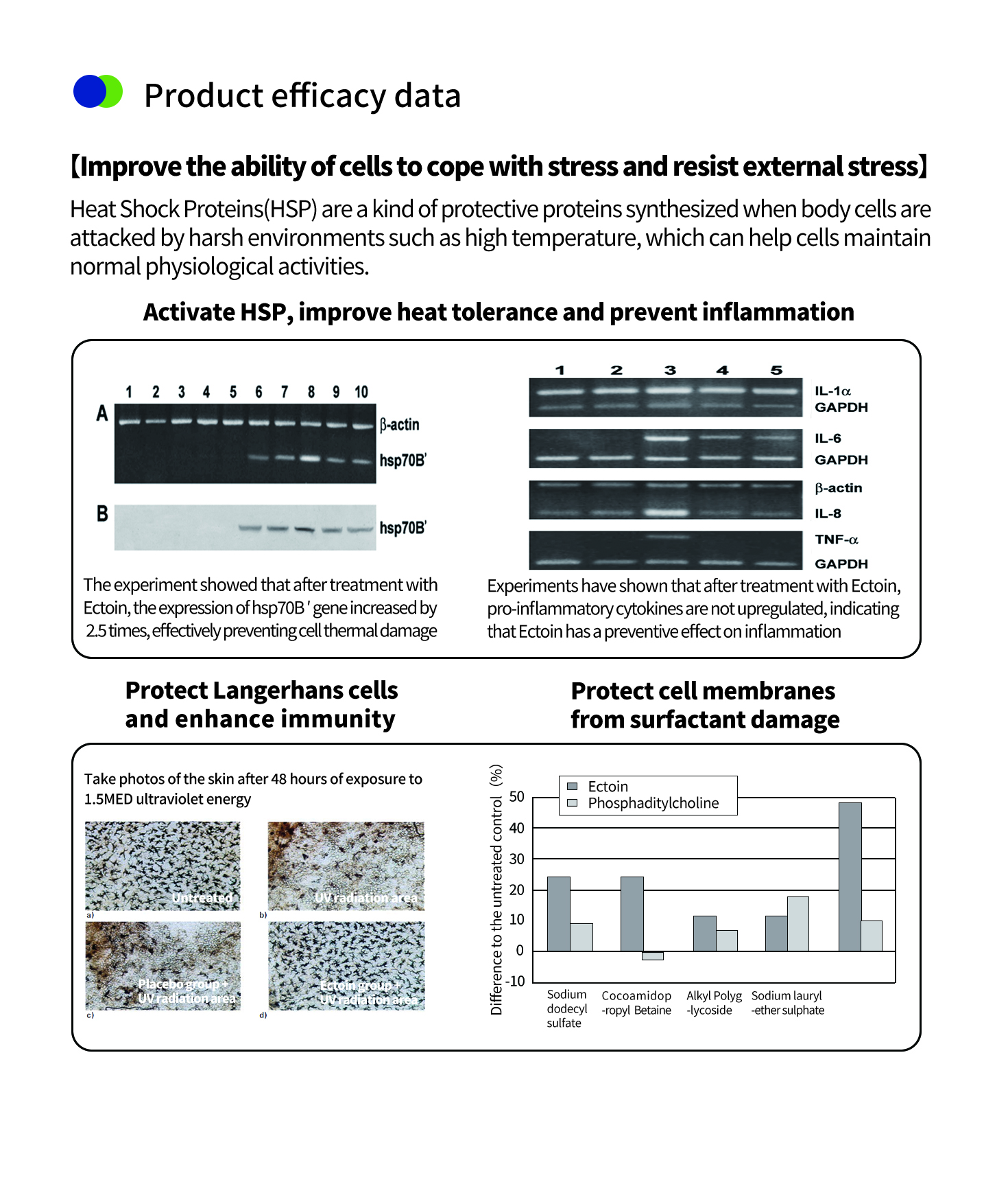 肌のためのエクトインパウダー 肌のためのエクトインパウダー