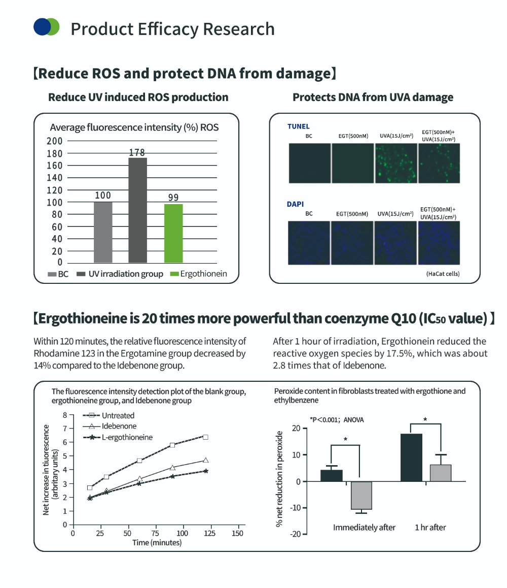 抗酸化化合物エルゴチオネイン 抗酸化化合物エルゴチオネイン
