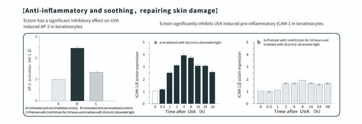 エクトインパウダーの抗炎症効果