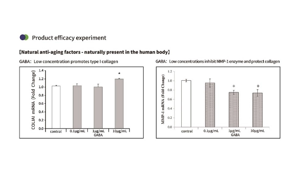 活性GABAはどのようにコラーゲンを増やして肌を自然に修復するのでしょうか?