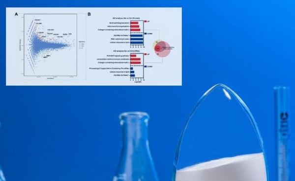 国際的に有名なビューティーマガジン「Sofw Journal」：Omics Technology＆N -Acetylneuramin酸 - 若々しい肌の秘密を解読する