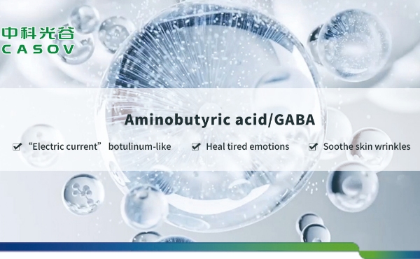 スキンケアにおけるアミノ酪酸（GABA）の役割：天然のアンチエイジングソリューション